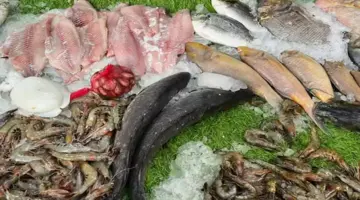 أسعار الأسماك والمأكولات البحرية اليوم في سوق العبور.. صعود البلطي